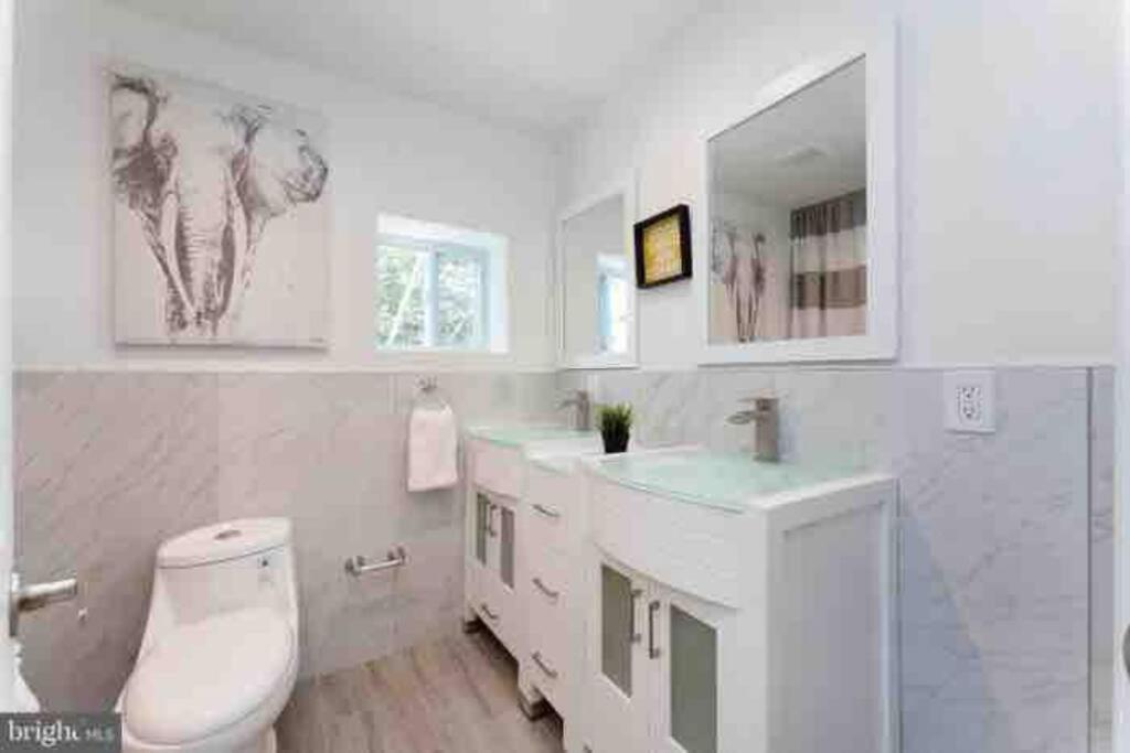 Brand New Home In South Philly!!! Philadelphia Buitenkant foto